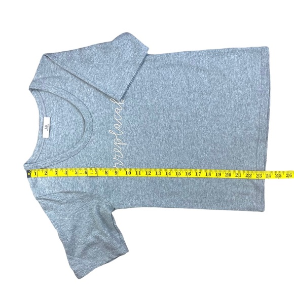 💙 3 for $12 Korean AB Irreplaceable Graphic Scoop Neck Gray Short Sleeve Tee - Picture 7 of 8